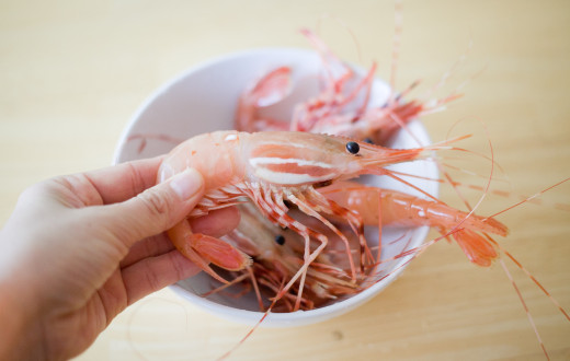 Spot Prawns