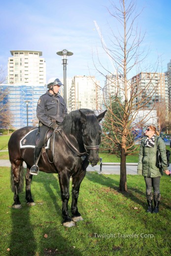 バンクーバー警察　馬