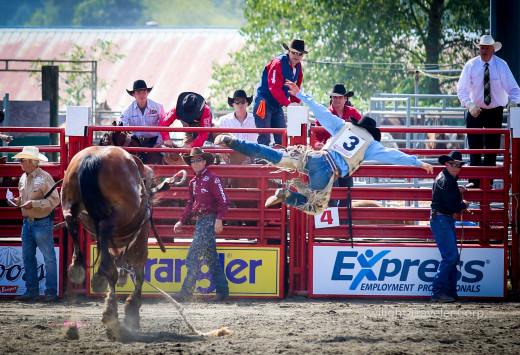 Cloverdale Rodeo