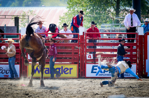 Cloverdale Rodeo