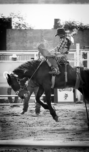 Cloverdale Rodeo