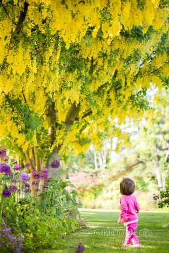 VanDusen 3 2015-05-22 109-2