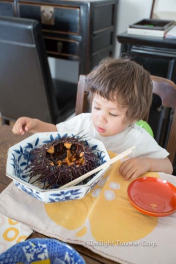 スティーブストン　うに