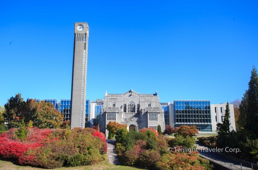 UBC 時計台　図書館