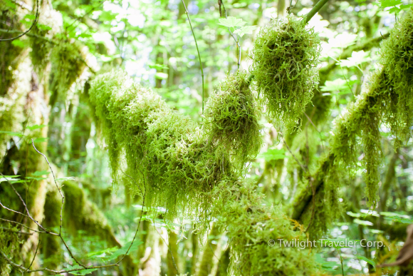160502-Squamish -IMG_6709-2