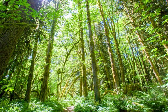 160502-Squamish -IMG_6727-3