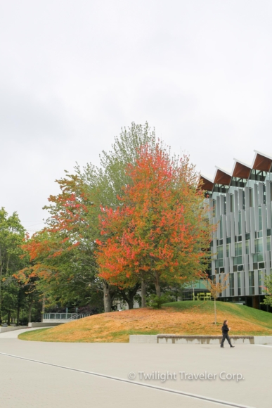 16 UBC　須磨学園-21