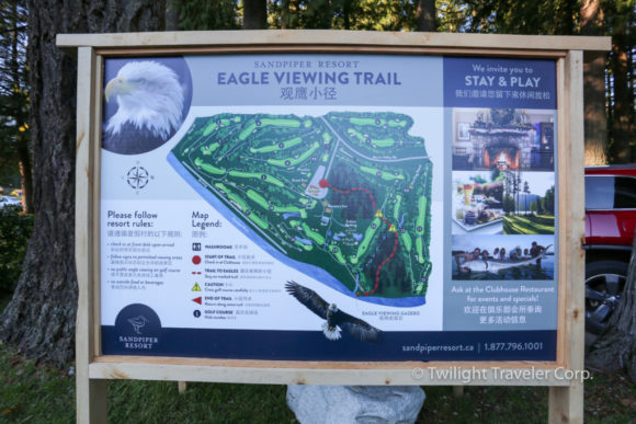 Eagle Mission