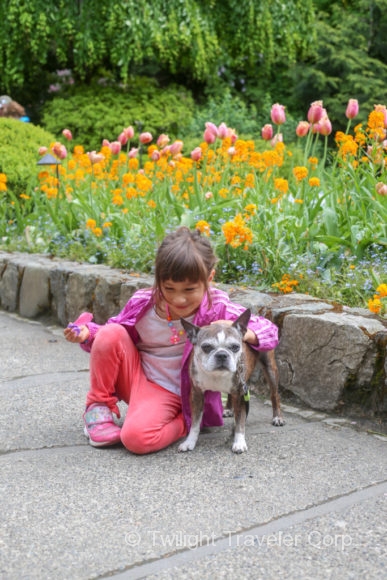 ブッチャードガーデン＆犬