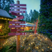 サスペンションブリッジ ライトアップ