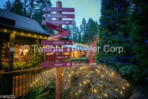 サスペンションブリッジ ライトアップ