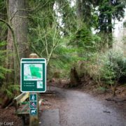 🌳バンクーバーの自然溢れるトレイル🌳