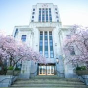 バンクーバー　桜