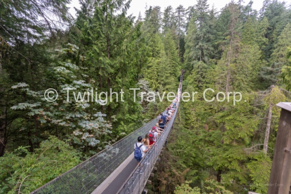 Capilano Suspension bridge