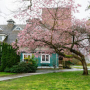 春のESL研修プログラム♪