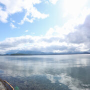 🦦ラッコを観に僻地へ🦦