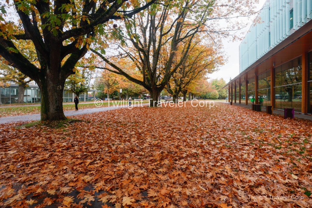 秋 UBC