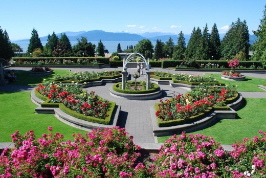 0716 Rose garden.JPG