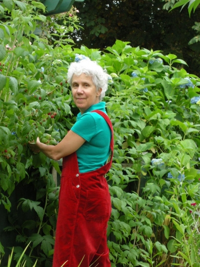 Bonnie lost in the Raspberry bushes.JPG