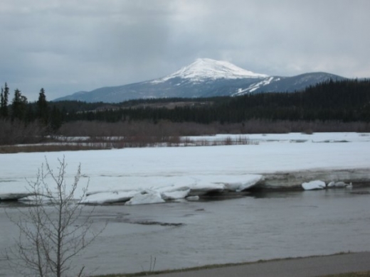 Lorene からのWhitehorse・ユーコン準州旅行便り