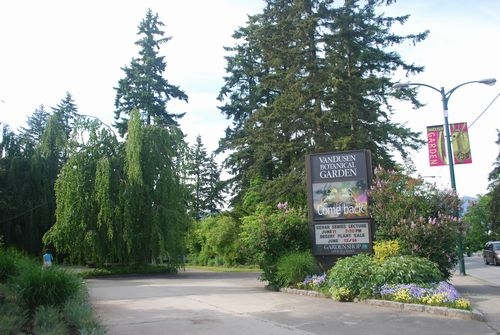 VanDusen Garden　他のお花もぜひご覧ください！