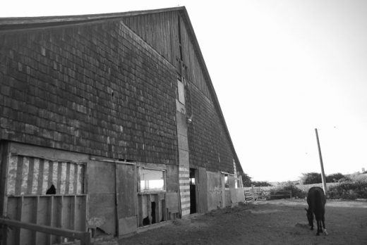 Picture 602s.jpg