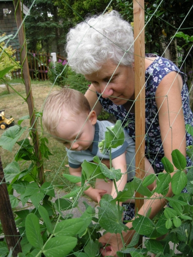 July 5th 2009 Bean picking 008.JPG