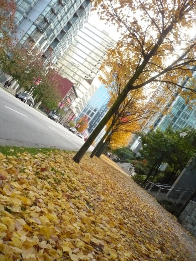 バンクーバーの燃えるような紅葉、そして食欲の秋･･･