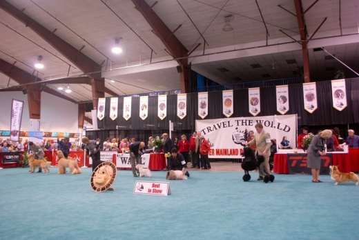 Dog Show Canada 09-31s.jpg