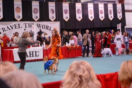 Dog Show Canada 09-11s.jpg