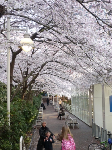 burrard sta.JPG