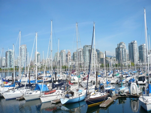 yacht harbour.JPG