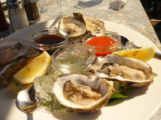 oyster.JPG