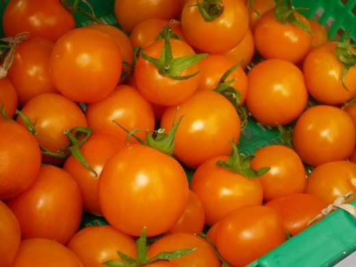 orange tomato.JPG