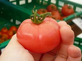 tomato.JPG