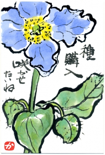 絵手紙img001.jpg