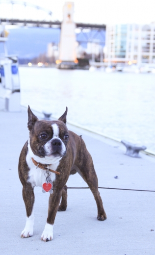 DT Night 11Jan 158-3.jpg