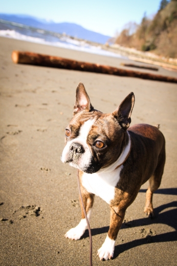 Wreckbeach 041-3.jpg