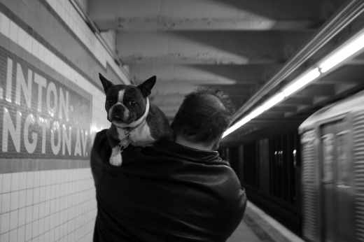 NY 059.jpg