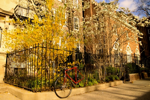 NYC 015.jpg