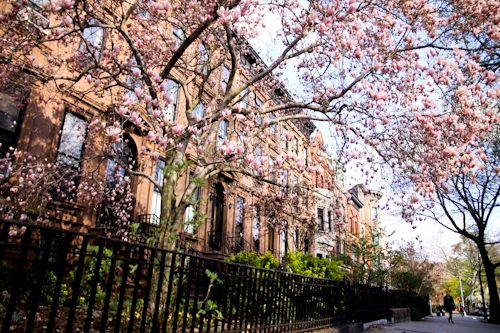 NYC 017.jpg
