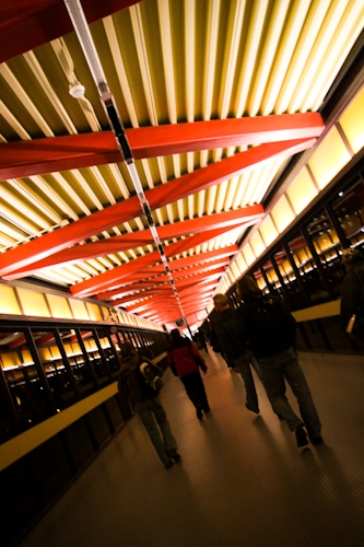 D 018.jpg